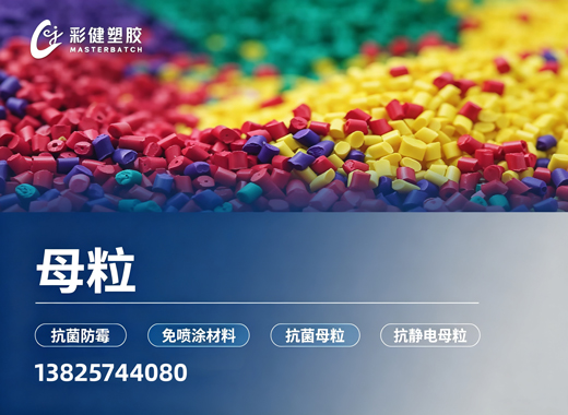 广东彩健大理线上分站
